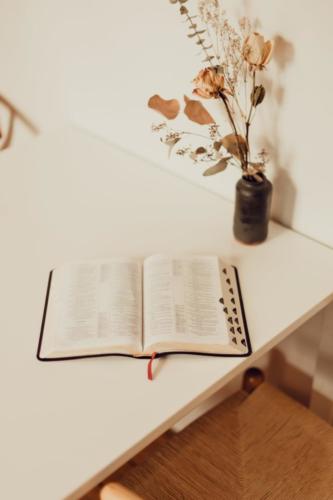priscilla-du-preez-dguEiIWli5M-unsplash